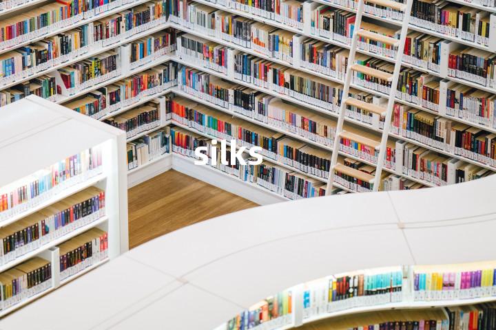 silks单词图解，单词释义场景配图