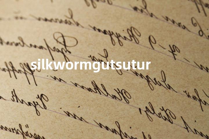 silkwormgutsutur单词图解，单词释义场景配图