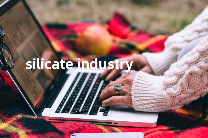 silicate industry单词图解，单词释义场景配图