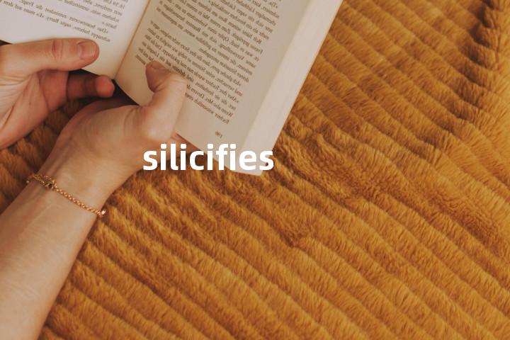 silicifies单词图解，单词释义场景配图