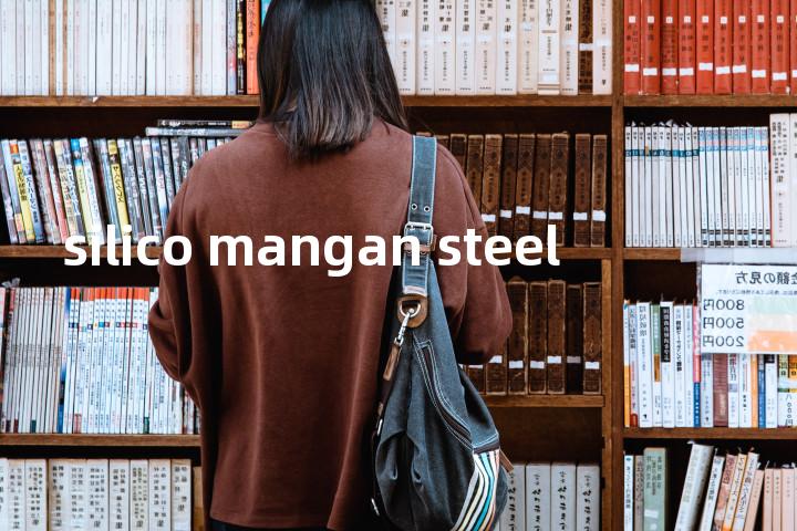 silico mangan steel单词图解，单词释义场景配图