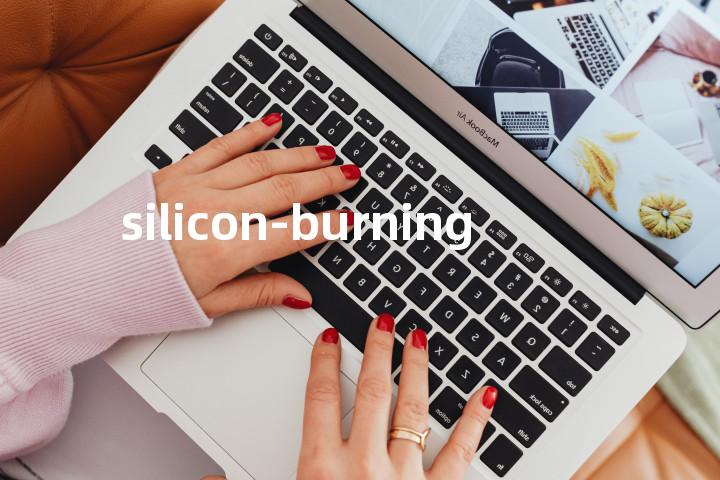 silicon-burning单词图解，单词释义场景配图