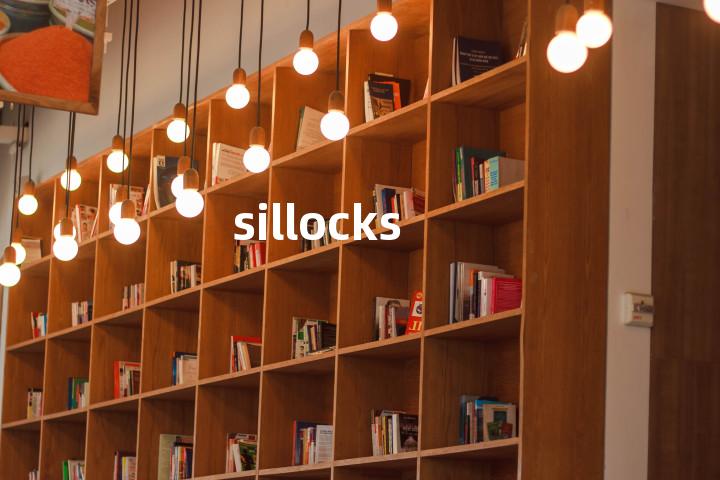 sillocks单词图解，单词释义场景配图