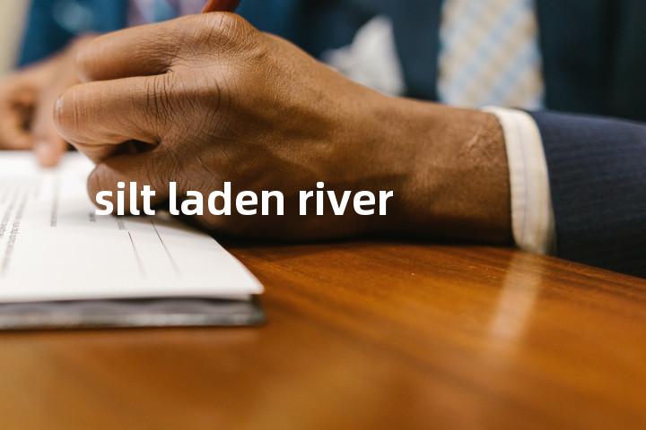 silt laden river单词图解，单词释义场景配图