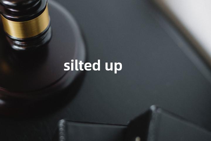silted up单词图解，单词释义场景配图