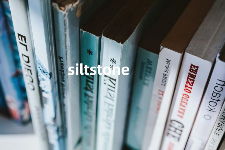 siltstone单词图解，单词释义场景配图