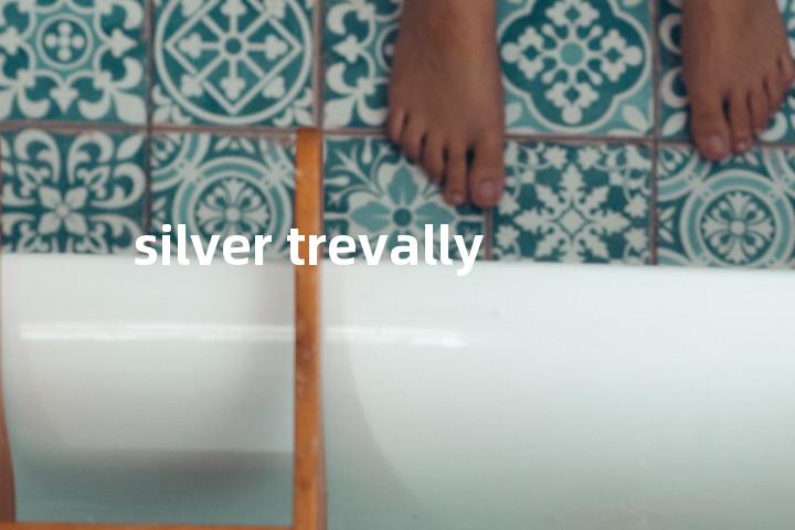 silver trevally单词图解，单词释义场景配图