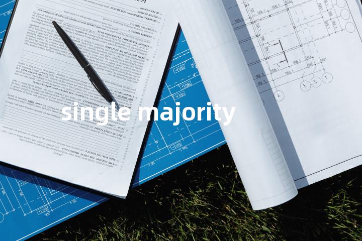 single majority单词图解，单词释义场景配图