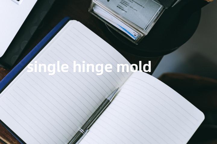 single hinge mold单词图解，单词释义场景配图
