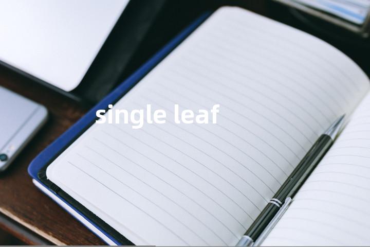 single leaf单词图解，单词释义场景配图