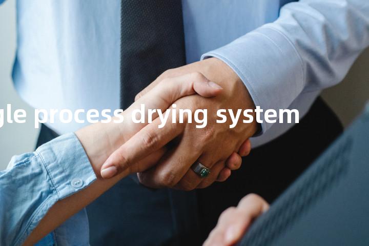 single process drying system单词图解，单词释义场景配图