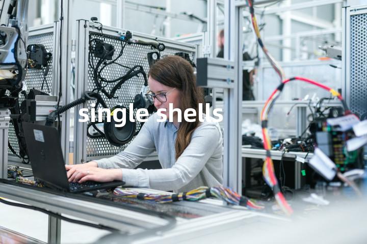 single shells单词图解，单词释义场景配图
