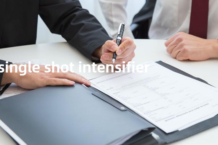 single shot intensifier单词图解，单词释义场景配图