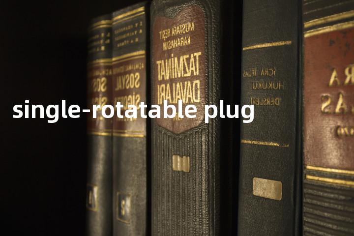 single-rotatable plug单词图解，单词释义场景配图