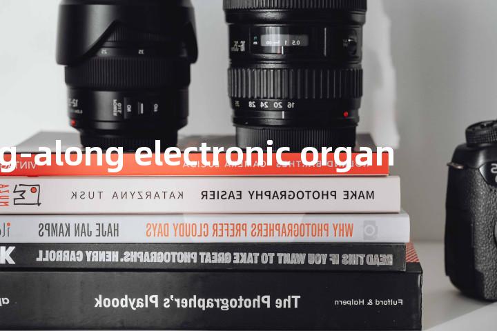 sing-along electronic organ单词图解，单词释义场景配图