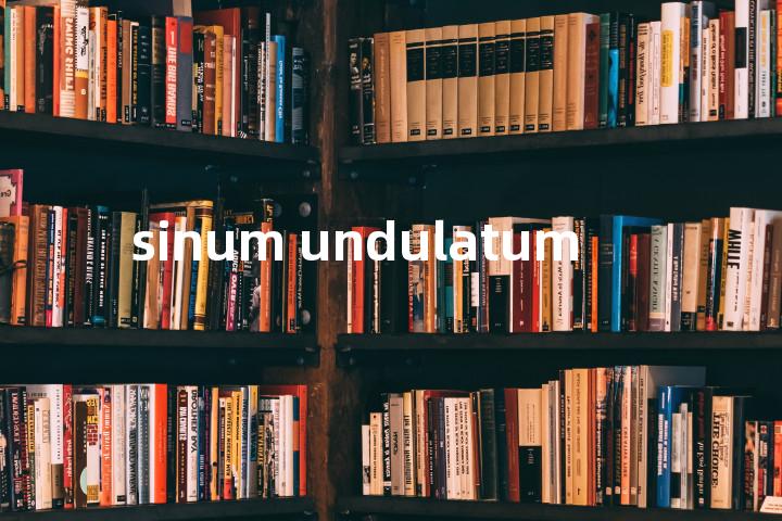 sinum undulatum单词图解，单词释义场景配图