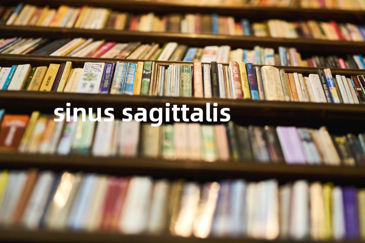 sinus sagittalis单词图解，单词释义场景配图