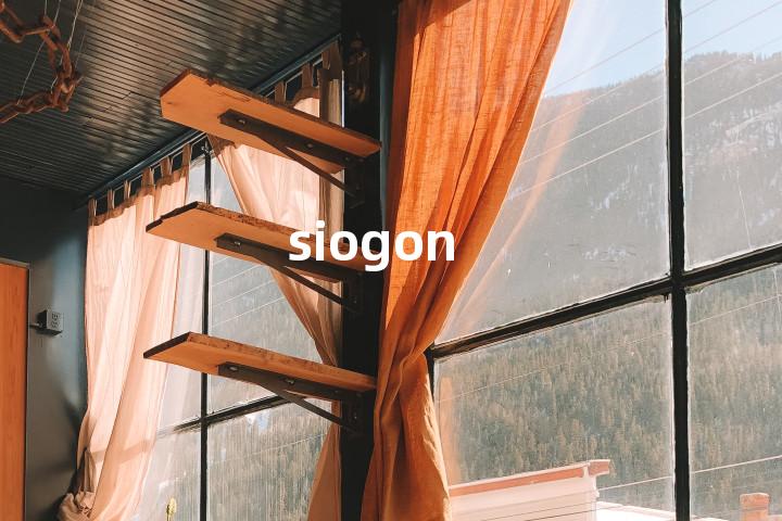 siogon单词图解，单词释义场景配图