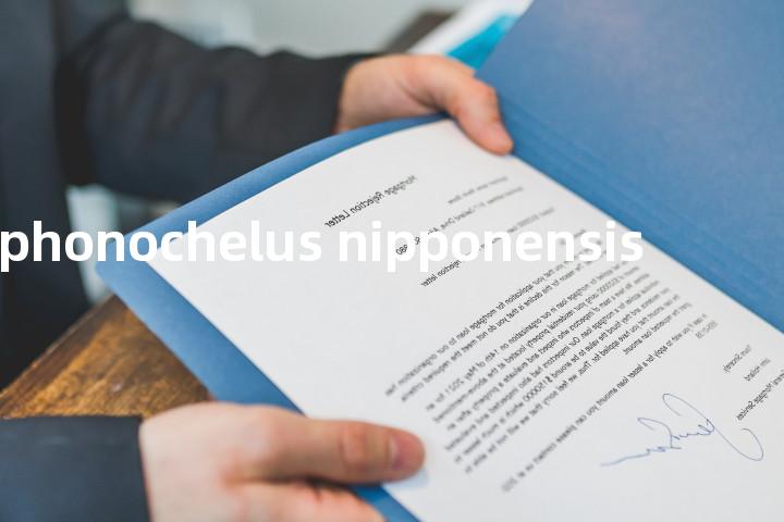 siphonochelus nipponensis单词图解，单词释义场景配图
