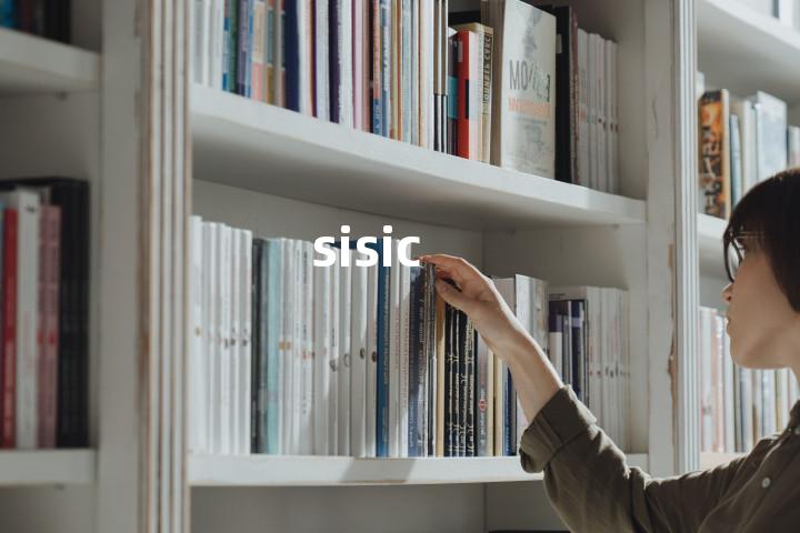 sisic单词图解，单词释义场景配图