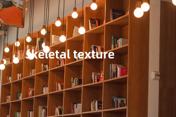 skeletal texture单词图解，单词释义场景配图