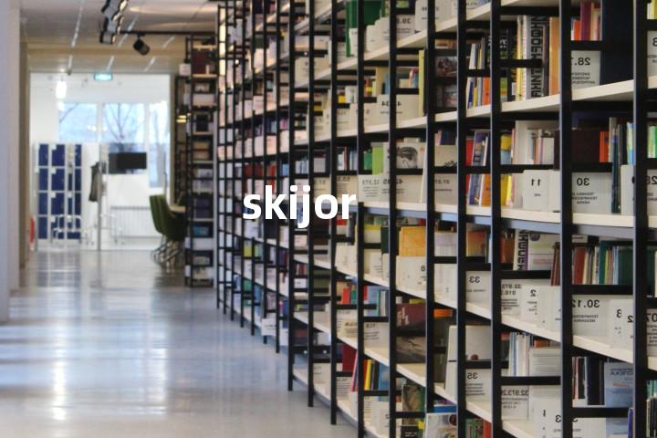 skijor单词图解，单词释义场景配图
