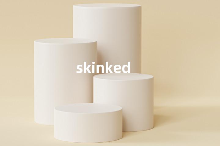 skinked单词图解，单词释义场景配图