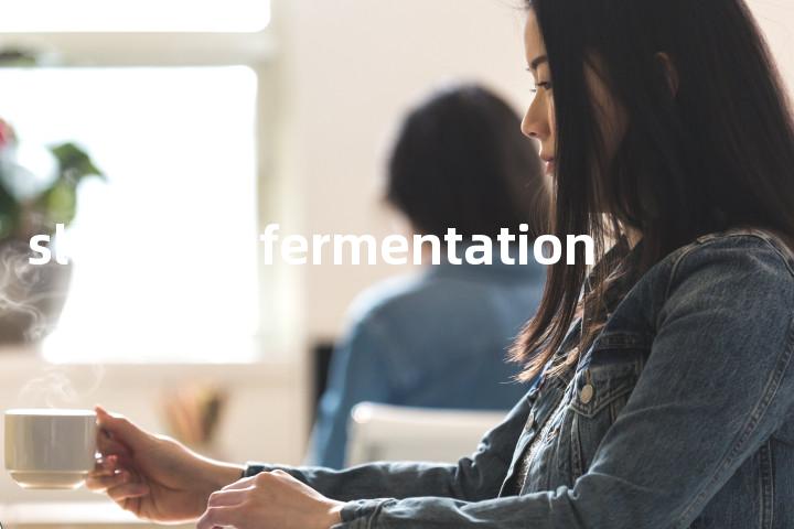 sluggish fermentation单词图解，单词释义场景配图