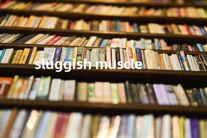 sluggish muscle单词图解，单词释义场景配图
