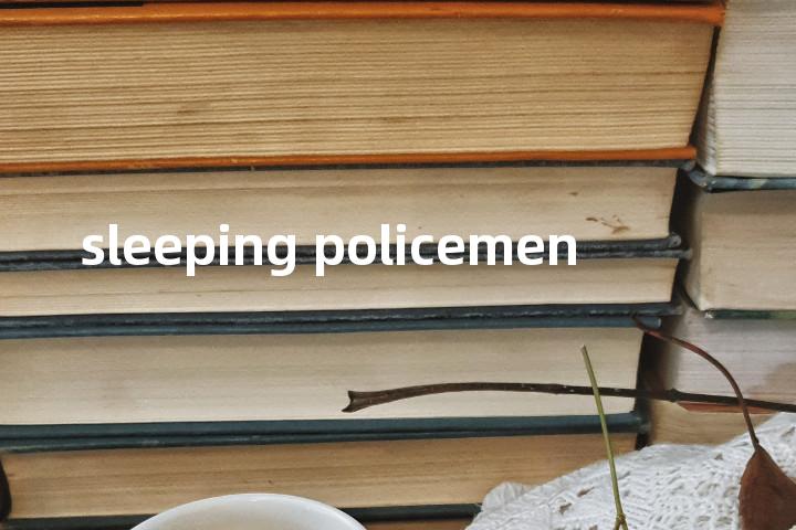 sleeping policemen单词图解，单词释义场景配图