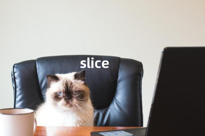 slice