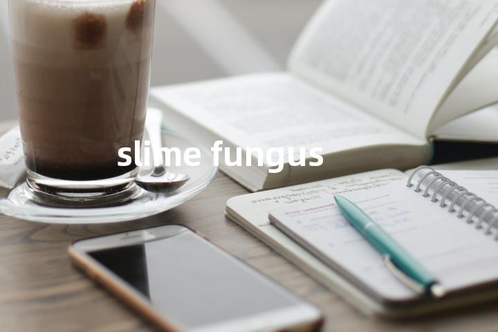slime fungus单词图解，单词释义场景配图
