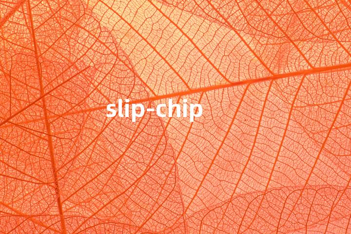 slip-chip单词图解，单词释义场景配图