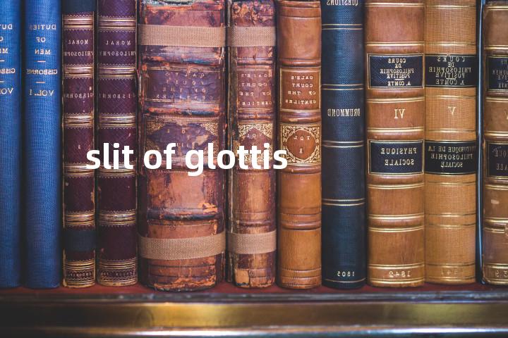 slit of glottis单词图解，单词释义场景配图