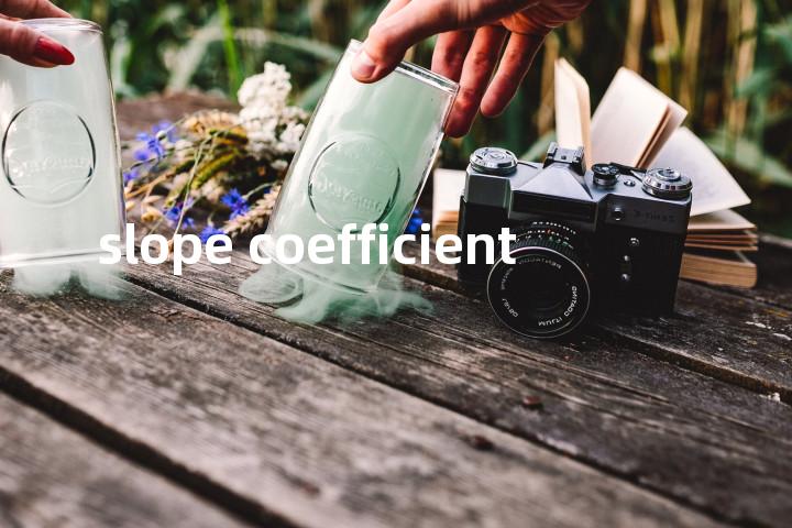 slope coefficient单词图解，单词释义场景配图