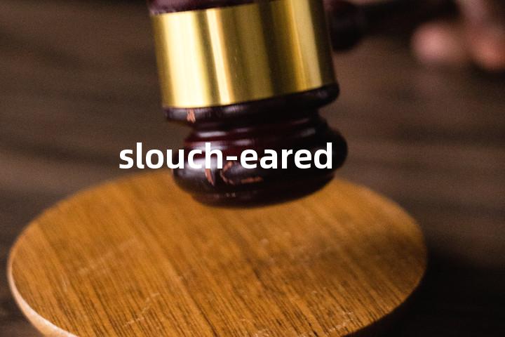 slouch-eared单词图解，单词释义场景配图