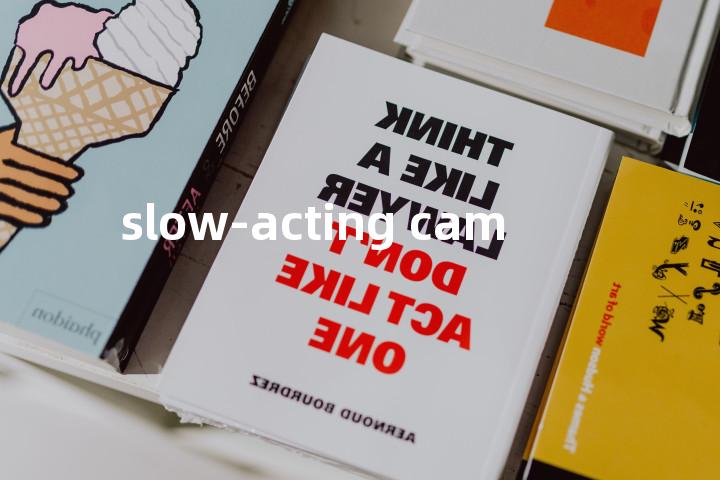 slow-acting cam单词图解，单词释义场景配图