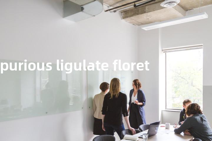 spurious ligulate floret单词图解，单词释义场景配图