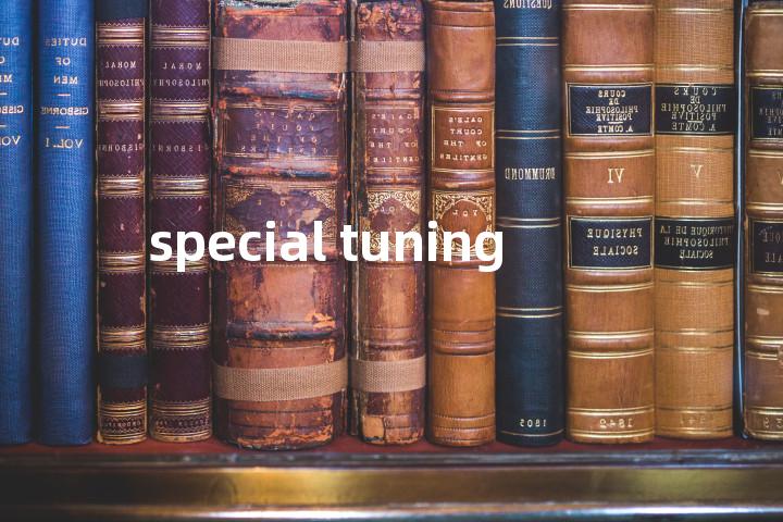 special tuning单词图解，单词释义场景配图