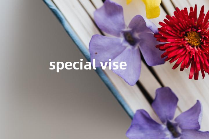 special vise单词图解，单词释义场景配图