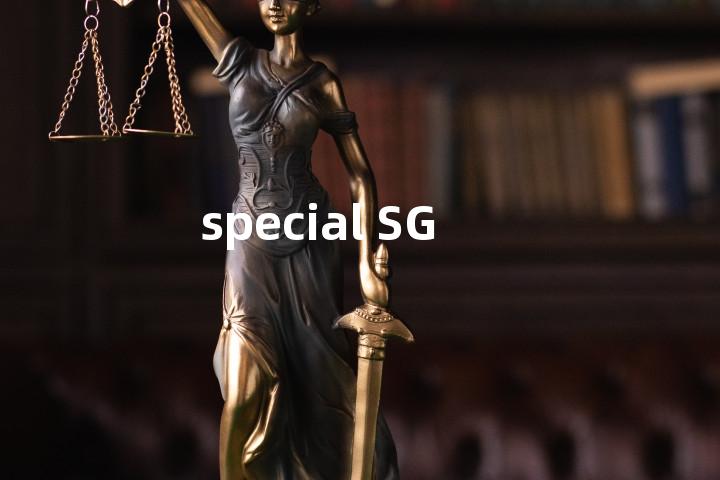 special SG单词图解，单词释义场景配图
