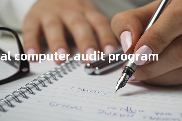 special computer audit program单词图解，单词释义场景配图