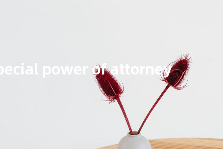 special power of attorney单词图解，单词释义场景配图