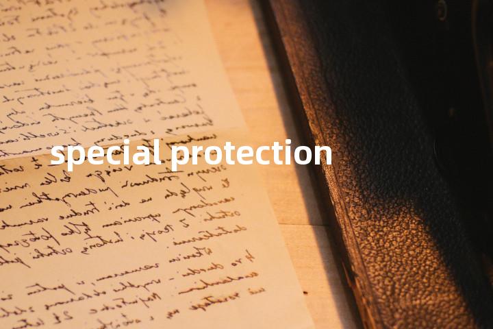 special protection单词图解，单词释义场景配图