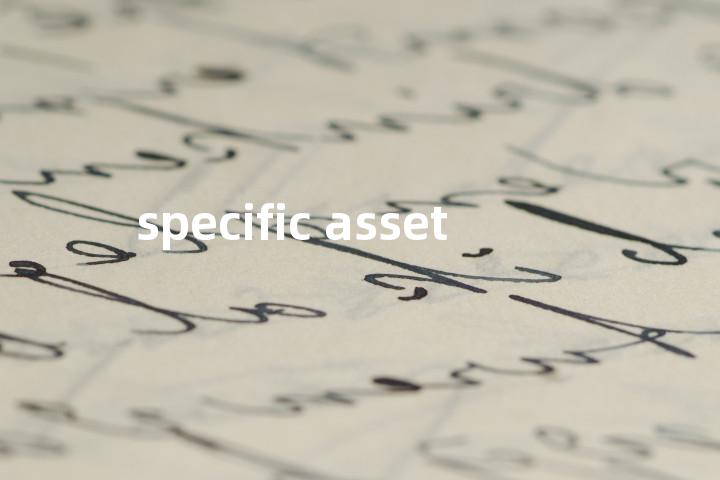 specific asset单词图解，单词释义场景配图