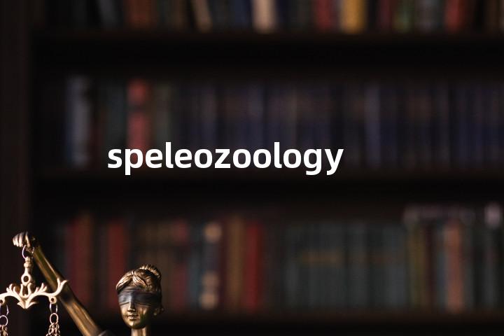 speleozoology单词图解，单词释义场景配图
