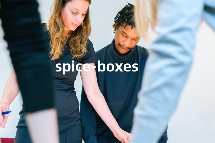 spice-boxes单词图解，单词释义场景配图