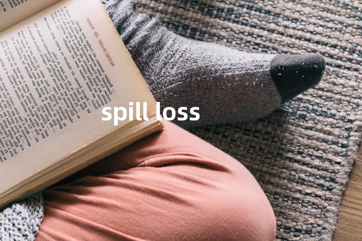 spill loss单词图解，单词释义场景配图