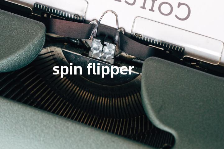 spin flipper单词图解，单词释义场景配图