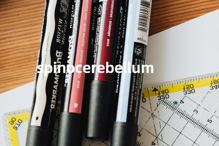spinocerebellum单词图解，单词释义场景配图